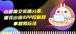 小说推文实操分享，蛋花小说APP拉新故事混剪玩法-琴书聊项目