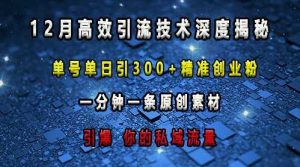 最新高效引流技术深度揭秘 ，单号单日引300+精准创业粉，一分钟一条原创素材，引爆你的私域流量-琴书聊项目