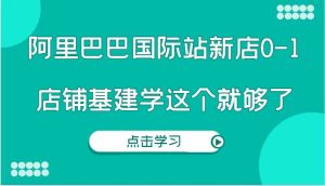 阿里巴巴国际站新店0-1，个人实践实操录制从0-1基建，店铺基建学这个就够了-琴书聊项目