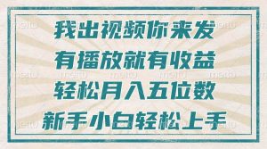 （13667期）不剪辑不直播不露脸，有播放就有收益，轻松月入五位数，新手小白轻松上手-琴书聊项目
