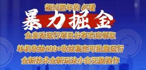 （13675期）2025暴力掘金项目，想过肥年必看！-琴书聊项目