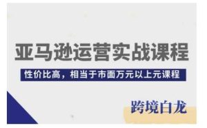 亚马逊运营实战课程,亚马逊从入门到精通,性价比高,相当于市面万元以上元课程-琴书聊项目