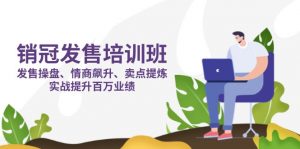 销冠 发售培训班：发售 操盘+情商 飙升+卖点 提炼，实战提升百万业绩-琴书聊项目