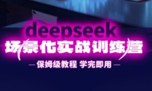 DeepSeek场景化实战训练营,保姆级教程,学完即用,手把手教你用DeepSeek提升效率-琴书聊项目