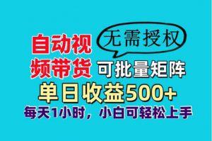 自动视频带货，可批量矩阵，单日收益500+、轻松实现睡后收益，小白可…-琴书聊项目