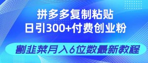 拼多多复制粘贴日引300+付费创业粉，割韭菜月入6位数最新教程！-琴书聊项目