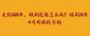 走到2025年，短剧还能怎么玩？短剧25年4月份搞钱方向-琴书聊项目