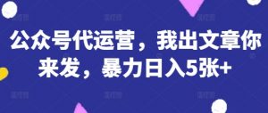 公众号代运营，我出文章你来发，暴力日入5张+【揭秘】-琴书聊项目