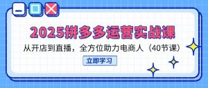 2025拼多多运营实战课，从开店到直播，全方位助力电商人(40节课-琴书聊项目