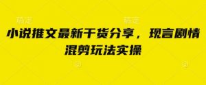 小说推文最新干货分享，现言剧情混剪玩法实操-琴书聊项目