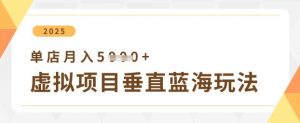 虚拟项目垂直玩法，实现单店月入5k+-琴书聊项目