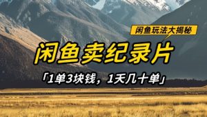 闲鱼卖纪录片1单3块钱，1天几十单，项目稳定有潜力-琴书聊项目