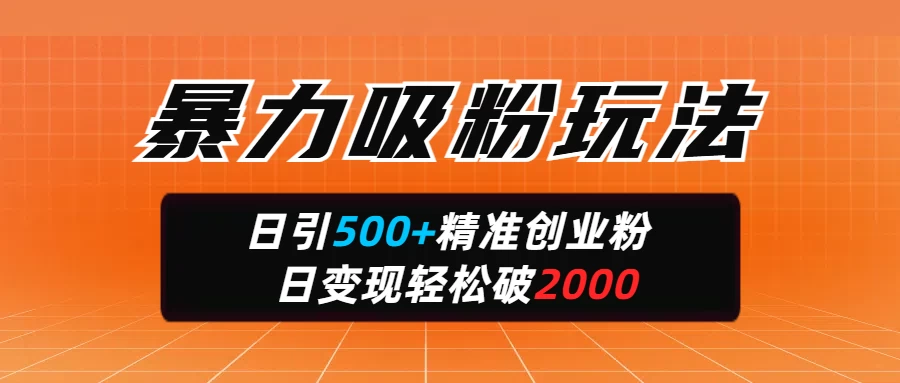 暴力吸粉玩法，日引500+精准创业粉，日变现轻松破2000-琴书聊项目