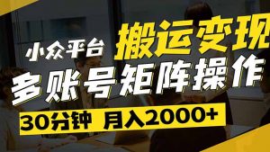 得物平台变现新蓝海！无脑复制热门视频，多账号同步运营，每天半小时躺…-琴书聊项目
