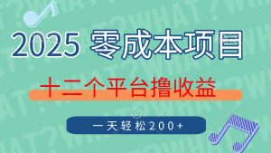 2025年零成本项目，十二个平台撸收益，单号一天轻松200+-琴书聊项目