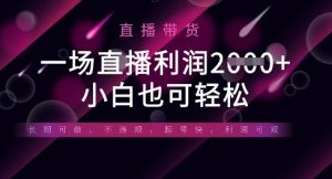 半无人直播带货，一场利润数张，适合所有平台玩法，小白也可轻松-琴书聊项目
