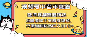 2025视频号中老年短视频蓝海暴利风口！复制粘贴搬运视频单日赚800+，无…-琴书聊项目