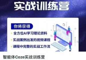 智能体Coze实战训练营，掌握新时代效率工具，让你人生即刻开挂-琴书聊项目