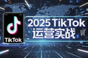 2025TikTok电商运营，掌握TikTok店铺运营核心技巧，实现低成本高转化-琴书聊项目