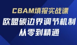 CBAM填报实战课，欧盟碳边界调节机制，从零到精通-琴书聊项目