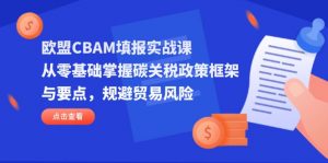 欧盟CBAM填报实战课，从零基础掌握碳关税政策框架与要点，规避贸易风险-琴书聊项目