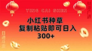小红书种草无脑操作复制粘贴即可日入300+-琴书聊项目