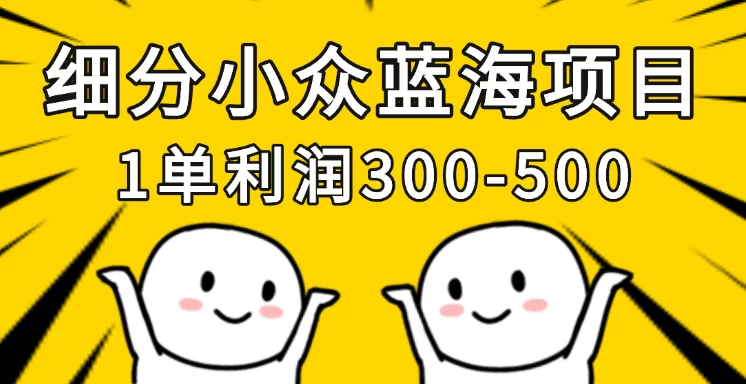 细分小众蓝海项目，一单利润300-500，每月收入稳定4w+-琴书聊项目