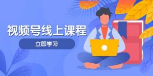 视频号实战课程，轻IP打造与运营技巧，掌握核心方法与策略-琴书聊项目