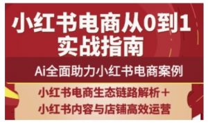 2025小红书电商全链路运营,Ai全面助力小红书电商案例-琴书聊项目