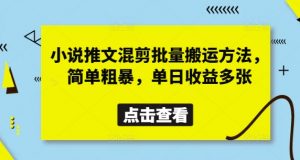 小说推文混剪批量搬运方法，简单粗暴，单日收益多张-琴书聊项目