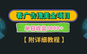 Google谷歌看广告撸美金,3分钟到账2.5美元,自撸拉新收益无上限,轻松日入1k+-琴书聊项目