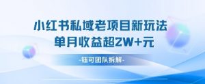 小红书私域项目新玩法，单月变现过W+-琴书聊项目