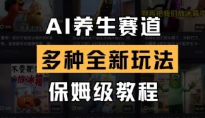 AI养生赛道，多种全新玩法，保姆级教程拆解-琴书聊项目