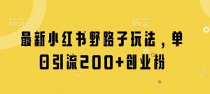 最新小红书野路子玩法，单日引流200+创业粉-琴书聊项目