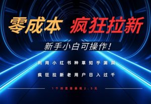 利用小红书种草知乎漏洞，零成本疯狂拉新日入数张，新手小白可操作-琴书聊项目
