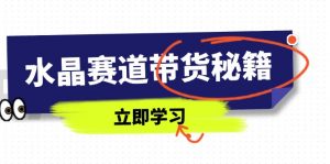 水晶赛道带货秘籍，国学结合、短视频起号、拍摄技巧、直播话术等内容-琴书聊项目