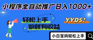 2025年最新风口，小程序自动推广，，稳定日入1000+，小白轻松上手-琴书聊项目