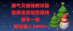 解气又挣钱的项目，最新违章拍照挣钱，随手一拍，轻松收入多张【揭秘】-琴书聊项目