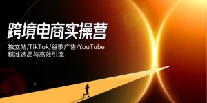 跨境电商实操营：独立站/TikTok/谷歌广告/YouTube，精准选品与高效引流-琴书聊项目