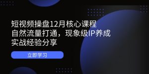 短视频操盘12月核心课程：自然流量打通，现象级IP养成，实战经验分享-琴书聊项目