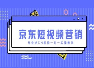 京东短视频营销项目，专业MCN机构一对一实操教学-琴书聊项目