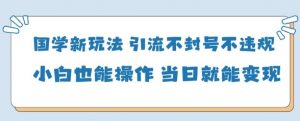 国学新玩法，引流不封号不违规小白也能操作，当日就能变现-琴书聊项目