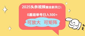 2025头条视频掘金新风口：0基础日入300+，可放大，可矩阵-琴书聊项目