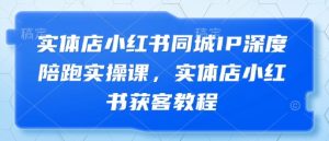 实体店小红书同城IP深度陪跑实操课，实体店小红书获客教程-琴书聊项目