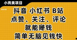 小而美的项目，抖音小红书B站视频点赞、关注、评论就能挣钱，简单无脑立见收益，妥妥的零撸项目【揭秘】-琴书聊项目