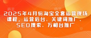 2025年4月份淘宝全套运营现场课程，运营后台、关键词推广、SEO搜索、万相台推广-琴书聊项目