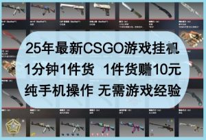 25年最新CSGO游戏挂G,1分钟1件货,1件货挣10元,纯手机操作,无需游戏经验【揭秘】-琴书聊项目