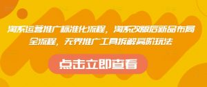 淘系运营推广标准化流程，​淘系改版后新品布局全流程，无界推广工具拆解高阶玩法-琴书聊项目