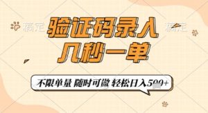 验证码录入，几秒钟一单，只需一部手机即可开始，随时随地可做，每天5张+【揭秘】-琴书聊项目