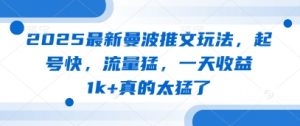 2025最新曼波推文玩法，起号快，流量猛，一天收益1k+真的太猛了-琴书聊项目